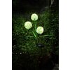 Globo SOLAR path light LED yellow, green, 3-light sources
