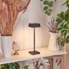 Algeraz Table lamp LED black, 1-light source
