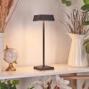 Algeraz Table lamp LED black, 1-light source