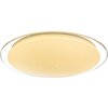 Globo SAJAMA Ceiling Light LED white, 1-light source