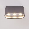 Dalarna Ceiling Light LED grey, silver, 1-light source