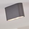 Dalarna Ceiling Light LED grey, silver, 1-light source