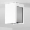 Braslo Ceiling Light chrome, white, 1-light source