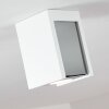 Braslo Ceiling Light grey, white, 1-light source
