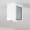 Braslo Ceiling Light grey, white, 1-light source