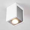 Braslo Ceiling Light grey, white, 1-light source