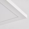 Barasat Ceiling Light LED white, 1-light source