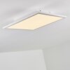 Barasat Ceiling Light LED white, 1-light source