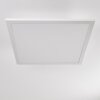 Barasat Ceiling Light LED white, 1-light source