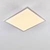 Barasat Ceiling Light LED white, 1-light source