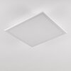 Barasat Ceiling Light LED white, 1-light source
