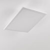 Barasat Ceiling Light LED white, 1-light source