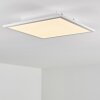Barasat Ceiling Light LED white, 1-light source