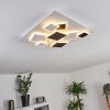 Minichu Ceiling Light LED white, 1-light source, Remote control