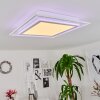HAUMONIA Ceiling Light LED white, 2-light sources, Remote control, Colour changer