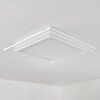 HAUMONIA Ceiling Light LED white, 2-light sources, Remote control, Colour changer