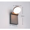 Trio ADOUR Wall Light LED anthracite, 1-light source
