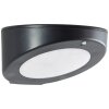 Brilliant Bardum Wall Light LED black, 1-light source, Motion sensor