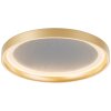 Brilliant Quito Ceiling Light LED gold, 1-light source