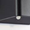 Brilliant Iseo Outdoor Wall Light LED black, 1-light source