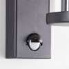 Brilliant Sidney Outdoor Wall Light black, 1-light source