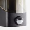 Brilliant Minou Outdoor Wall Light black, 1-light source