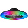 Brilliant Badria Ceiling Light LED black, 1-light source, Remote control
