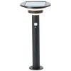 Brilliant Garvina outdoor floor lamp LED black, 1-light source, Motion sensor