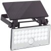 Brilliant Luton Outdoor Wall Light LED black, 1-light source, Motion sensor