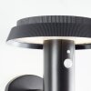 Brilliant Alvero Outdoor Wall Light LED black, 1-light source, Motion sensor