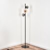 Remaisnil Floor Lamp - glass 12 cm, 15 cm black, 3-light sources