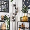 Gastor Floor Lamp - glass 15 cm clear, Smoke-coloured, 6-light sources