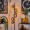 Gastor Floor Lamp - glass 15 cm clear, Smoke-coloured, 6-light sources