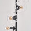 Gastor Floor Lamp - glass 15 cm clear, 6-light sources
