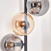 Gastor Floor Lamp - glass 15 cm Amber, Smoke-coloured, 6-light sources