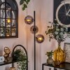 Gastor Floor Lamp - glass 15 cm Smoke-coloured, 3-light sources
