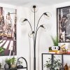 Koyoto Floor Lamp - glass 15 cm clear, 5-light sources