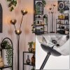 Gastor Floor Lamp - glass 15 cm clear, Smoke-coloured, 3-light sources