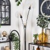 Gastor Floor Lamp - glass 15 cm clear, 3-light sources