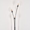 Gastor Floor Lamp - glass 15 cm clear, 3-light sources