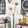 Gastor Floor Lamp - glass 15 cm Amber, clear, Smoke-coloured, 3-light sources