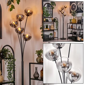 Gastor Floor Lamp - glass 15 cm clear, Smoke-coloured, 5-light sources