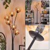 Gastor Floor Lamp - glass 15 cm black, 6-light sources