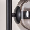 Gastor Floor Lamp - glass 15 cm black, 5-light sources