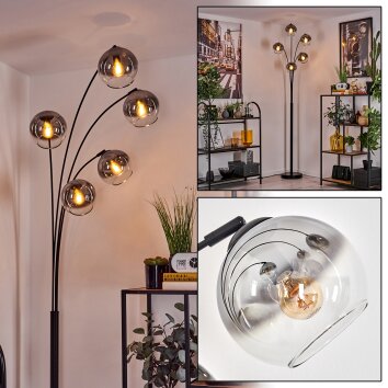 Koyoto Floor Lamp - glass 15 cm clear, Smoke-coloured, 5-light sources