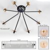 Chehalis Ceiling Light - glass 12 cm, 15 cm gold, black, 8-light sources