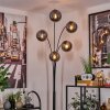 Gastor Floor Lamp - glass 15 cm Smoke-coloured, 5-light sources
