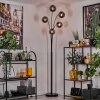 Gastor Floor Lamp - glass 15 cm Smoke-coloured, 5-light sources