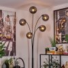 Gastor Floor Lamp - glass 15 cm Smoke-coloured, 5-light sources
