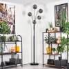 Gastor Floor Lamp - glass 15 cm Smoke-coloured, 5-light sources